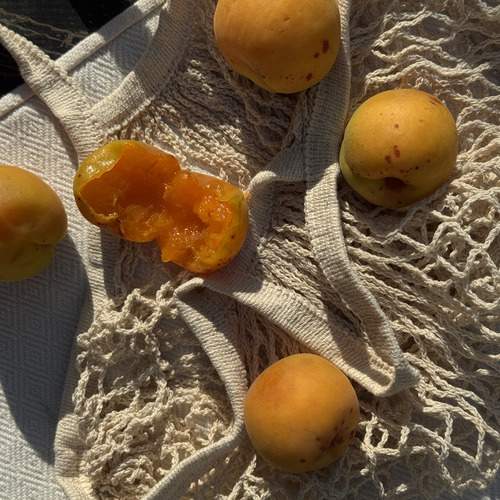 Photo #12316286
