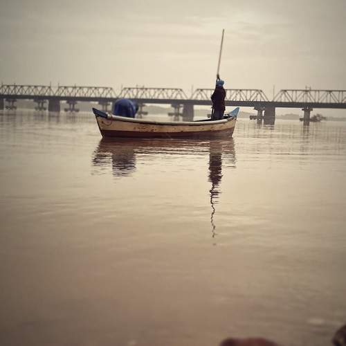 Photo #12316433