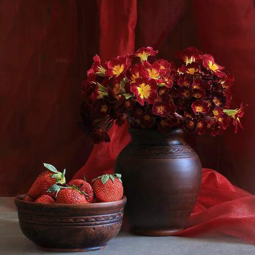 Фотография #12316630