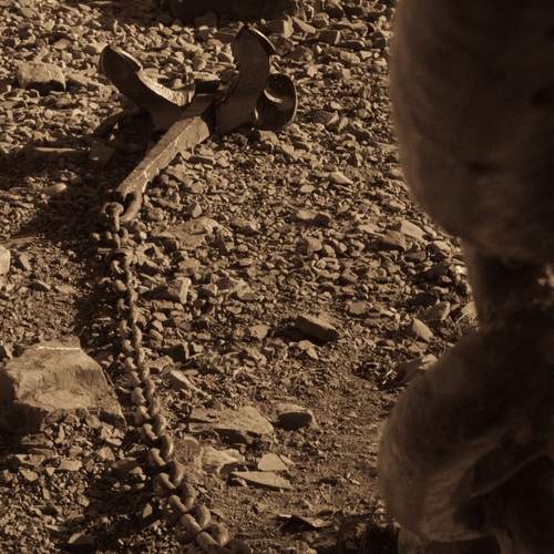 Photo #12316661