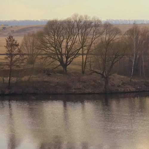 Photo #12316708