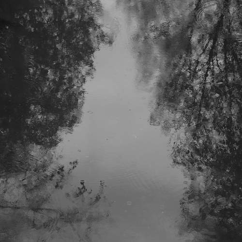 Photo #12316746