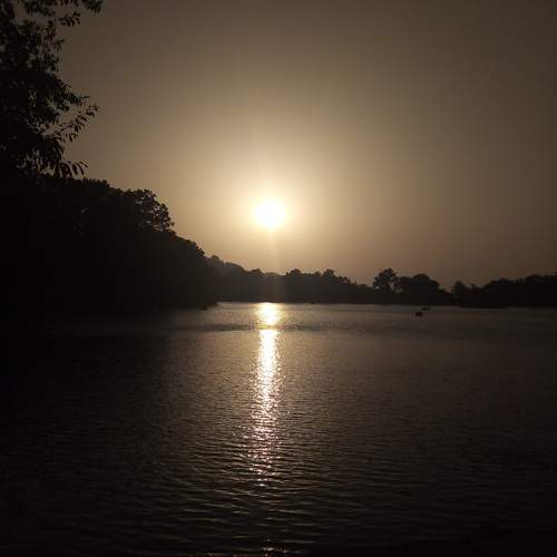 Photo #12316939