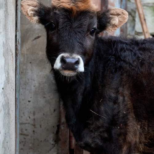 Photo #12317056