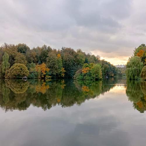 Photo #12317405