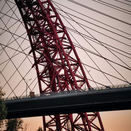 Photo #12317406