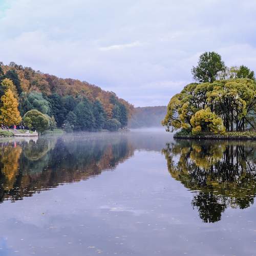 Photo #12317453