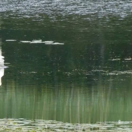 Photo #12317899