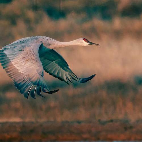 Photo #12318003