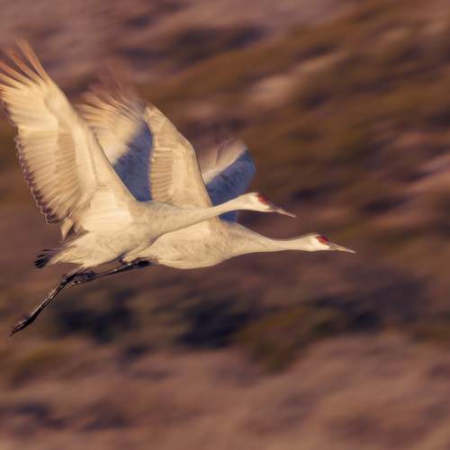 Photo #12318009