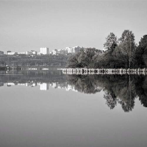 Photo #12318052