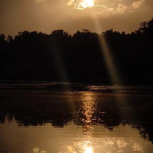 Photo #12318232