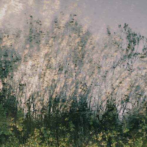 Photo #12318761