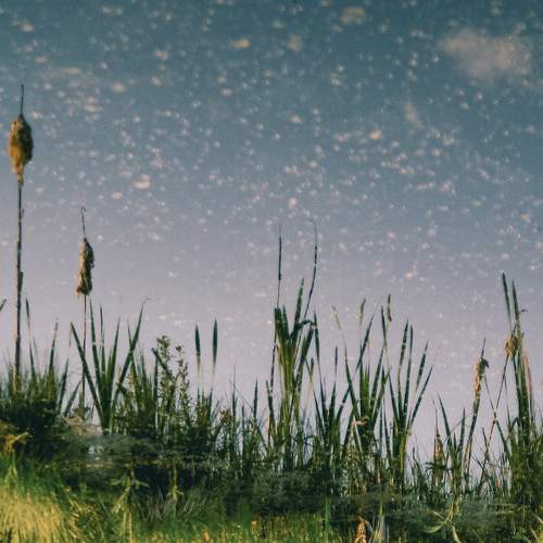 Photo #12318778