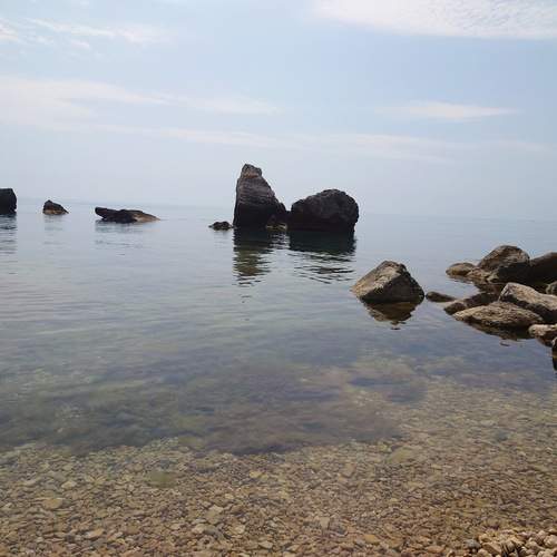 Photo #12318880