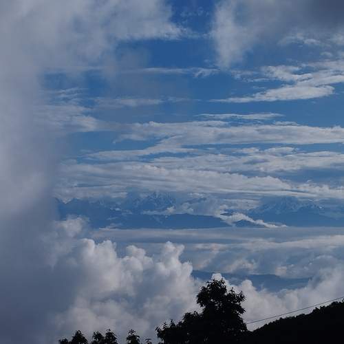 Photo #12318996