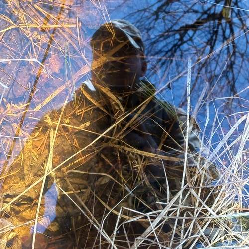 Photo #12319122
