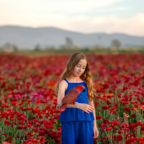 Photo #12319229