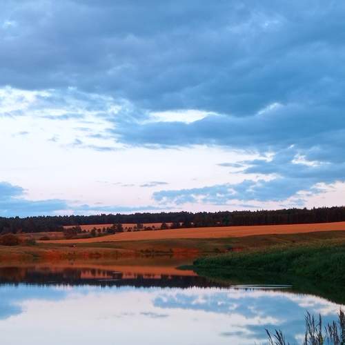 Photo #12319276