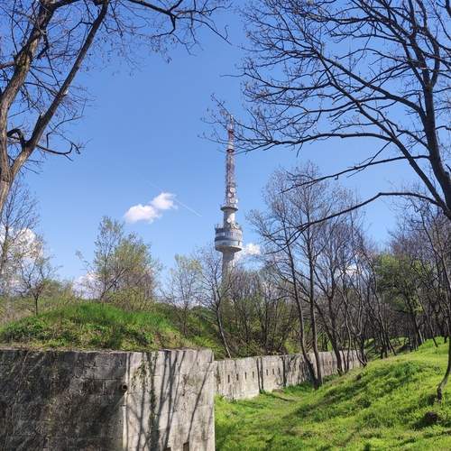 Photo #12319277