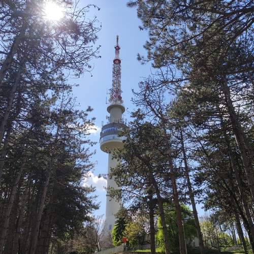 Photo #12319303