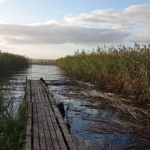 Photo #12319326
