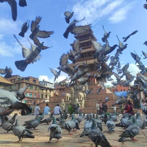 Photo #12319353