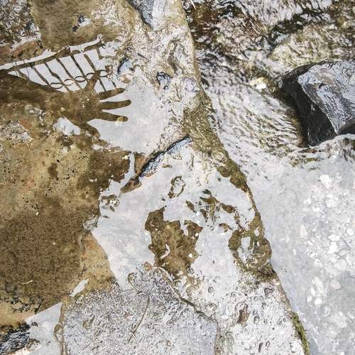 Shadow water
