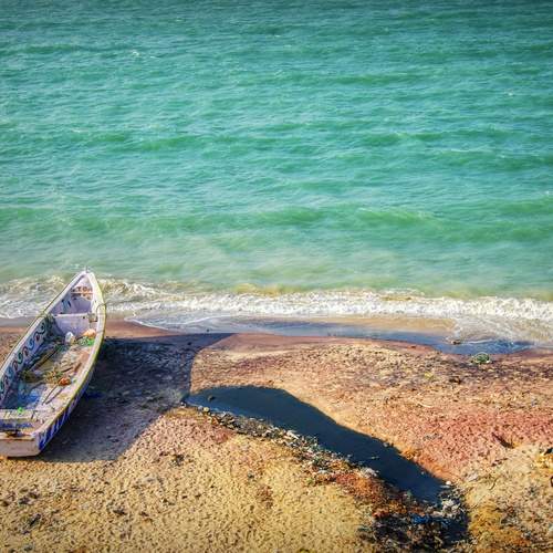 Photo #12319751