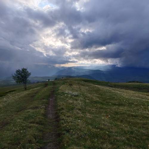 Photo #12319794