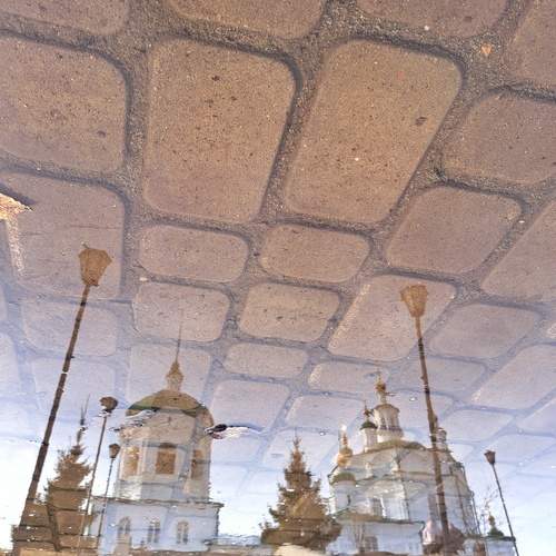 Photo #12319810