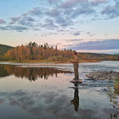 Photo #12319823