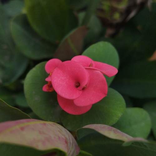 Photo #12320034