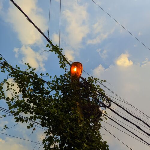 Photo #12320036