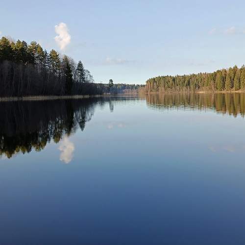 Photo #12320106