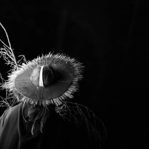 Photo #12320523