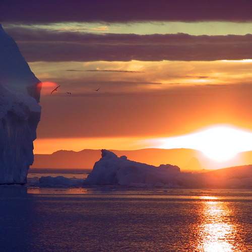 Photo #12320855