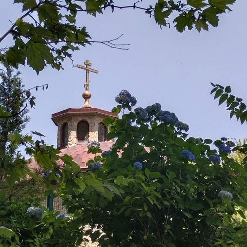 Photo #12321311