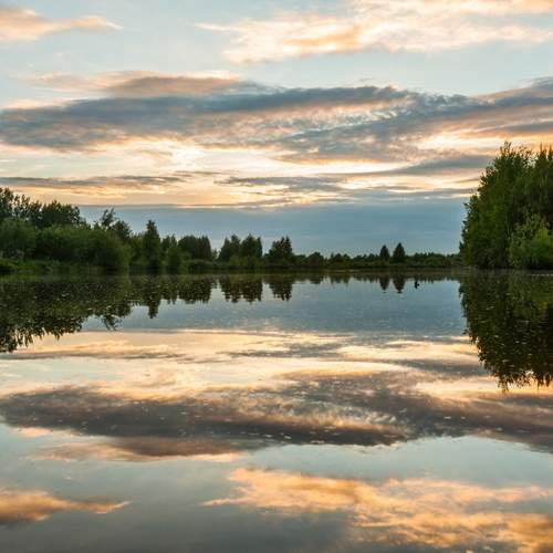 Photo #12321390