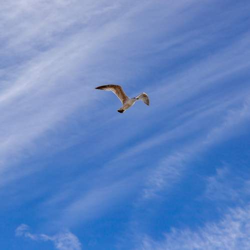 Photo #12321442