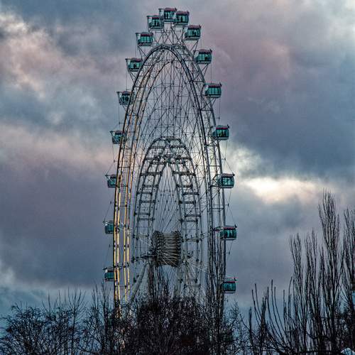 Photo #12321692