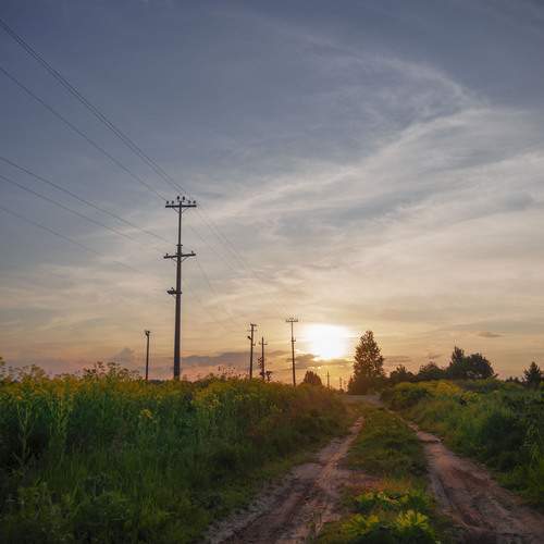 Photo #12321751