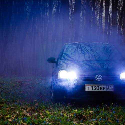 Photo #12322008