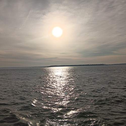 Photo #12322102