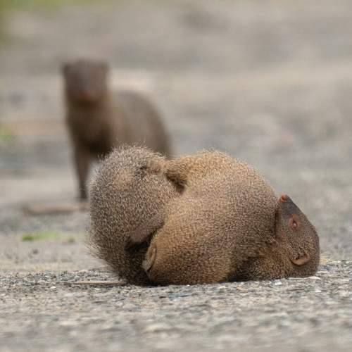 Photo #12322156