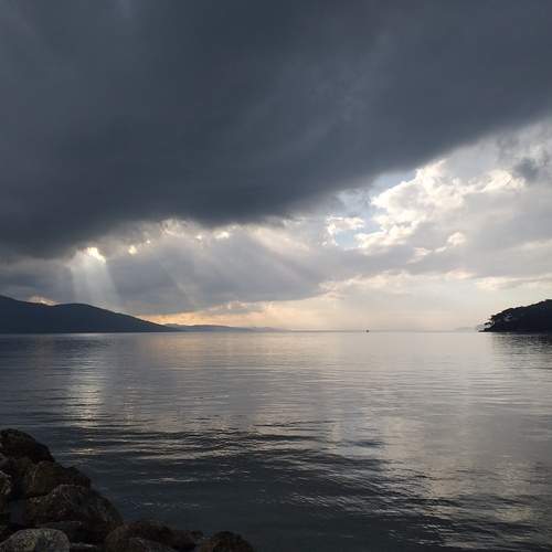 Photo #12322455