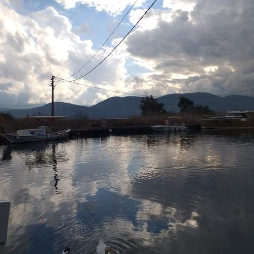 Photo #12322458
