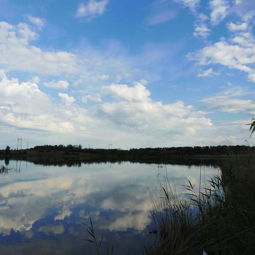 Photo #12322525