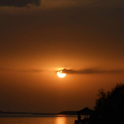 Photo #12322707