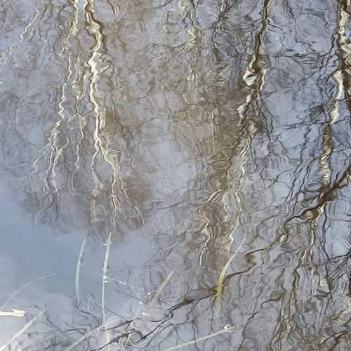 Photo #12322712